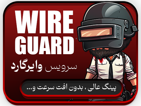 سرویس وایرگارد
